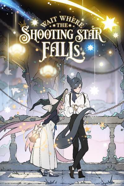 Wait Where the Shooting Star Falls - DROP